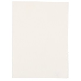 2600 SERV ALBE 295X405MM /30 12/BX