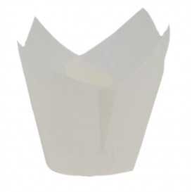 CHESE TULIP ALBE 110/35 /250 20/BX