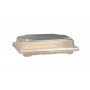 #CTR-SSH-1400 CAS BIO NAT + CAPAC PS SUSHI 165X115X21MM /50 4/BX