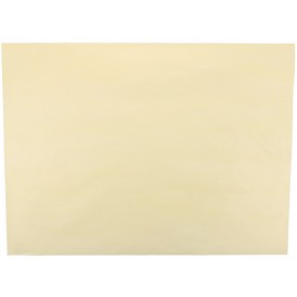 2200 Nproane din hartie, Champagne, 300 x 400 mm